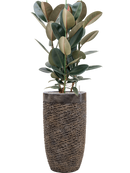 Pot luxe lite partner bronze