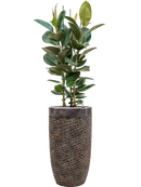 Pot luxe lite partner bronze