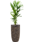 Pot luxe lite partner bronze