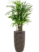 Pot luxe lite partner bronze