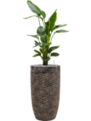 Pot luxe lite partner bronze