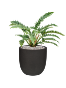 Pot urban smooth couple noire