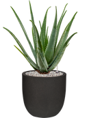 Pot urban smooth couple noire