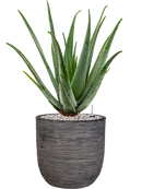 Pot nature rib couple anthracite