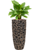 Pot luxe lite partner bronze