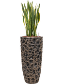 Pot luxe lite partner bronze