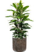 Pot luxe lite cylinder bronze