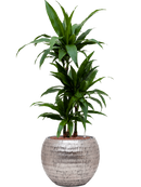 Pot opus globe argent