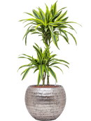 Pot opus globe argent