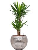 Pot opus globe argent