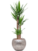 Pot opus globe argent