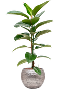 Pot opus globe argent