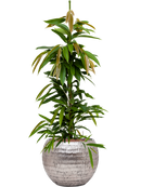 Pot opus globe argent