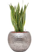 Pot opus globe argent