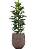 Pot opus emperor d'or