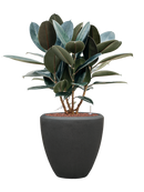 Pot polystone couple anthracite