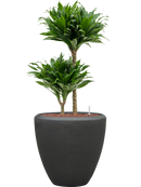 Pot polystone couple anthracite