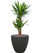 Pot polystone couple anthracite