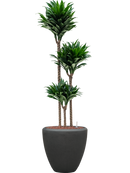 Pot polystone couple anthracite