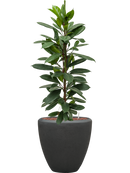 Pot polystone couple anthracite