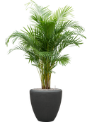 Pot polystone couple anthracite