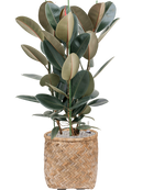 Pot bohemian cylinder marron