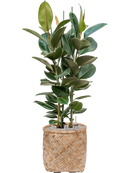 Pot bohemian cylinder marron