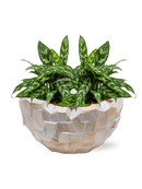 Pot oceana bowl blanche