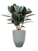 Pot one and only partner grise