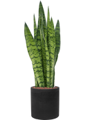 Pot rough cylinder noire