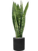 Pot rough cylinder noire