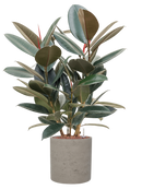 Pot rough cylinder grise