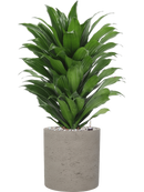 Pot rough cylinder noire