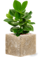 Pot lava cube beige