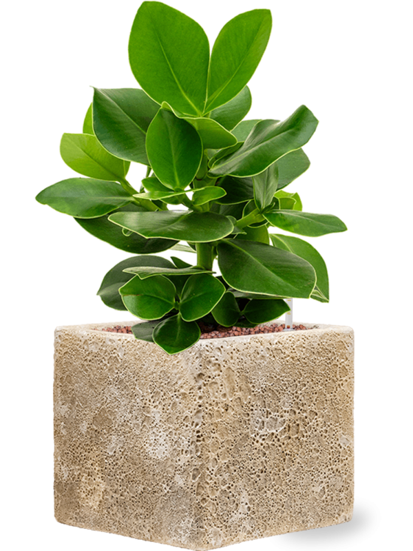 Pot lava cube beige