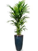 Pot plain partner multicolore