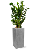 Pot natural square grise