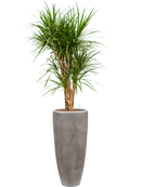 Pot polystone partner grise