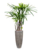 Pot polystone partner grise