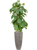 Pot polystone partner grise