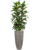 Pot polystone partner grise