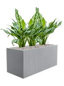 Pot argento rectangle grise