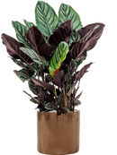 Pot cylinder cylinder d'or