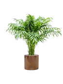 Pot cylinder cylinder d'or