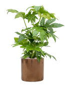 Pot cylinder cylinder d'or