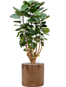 Pot cylinder cylinder d'or