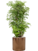 Pot cylinder cylinder d'or