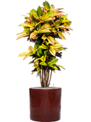 Pot cylinder cylinder rouge