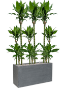 Pot natural rectangle grise