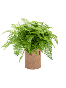 Pot trendcover cylinder marron